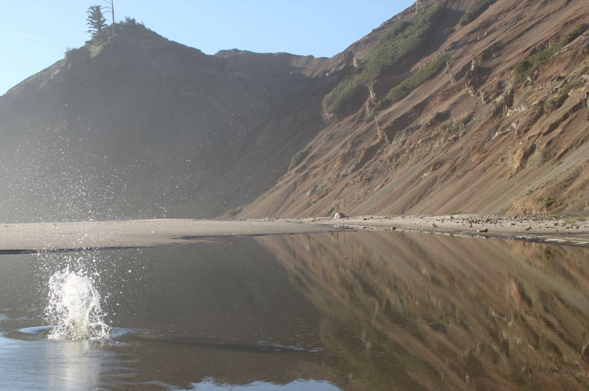 website design oregon coast