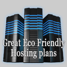 custom website design