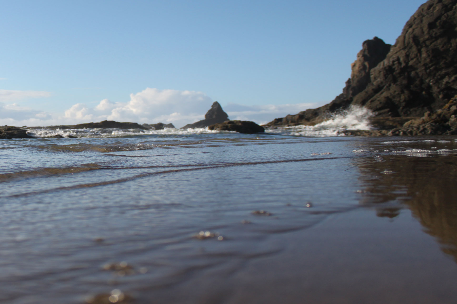 oregon coast website design