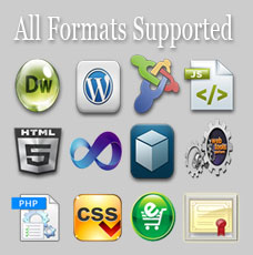 Moblie website design